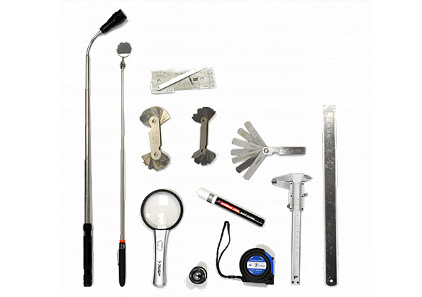 Вик эксперт в рюкзаке